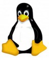 VPS Linux